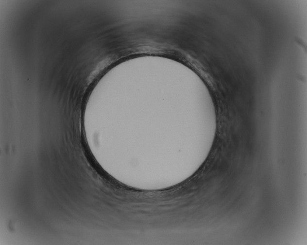 X0000098100011200804251415