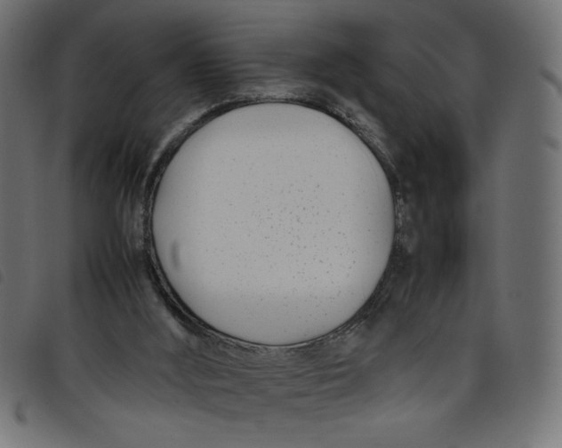 X0000098100012200804251415