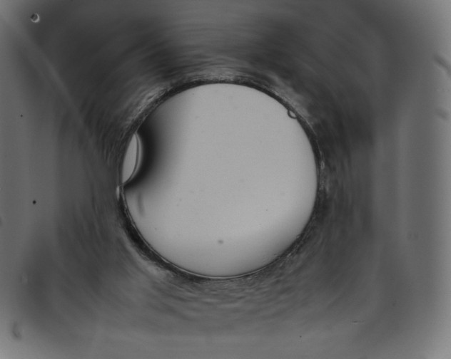 X0000098100013200804251415