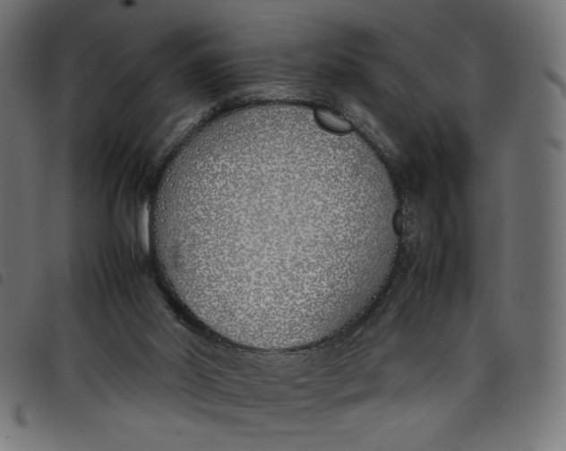 X0000098100014200804251415