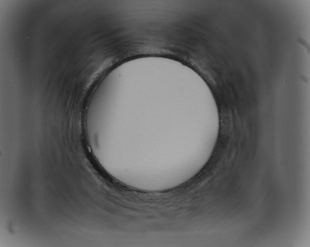 X0000098100015200804251415