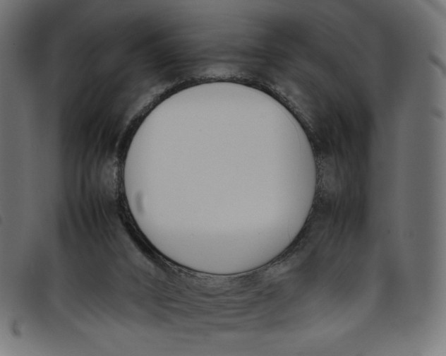 X0000098100016200804251415