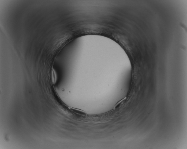 X0000098100017200804251415