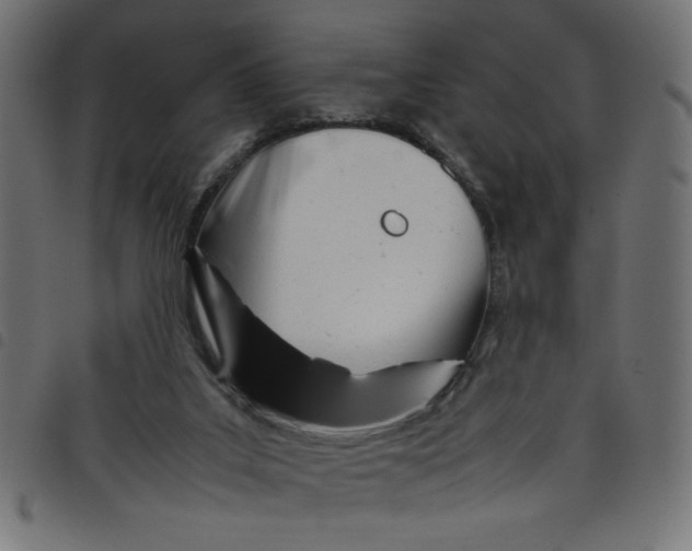 X0000098100019200804251415