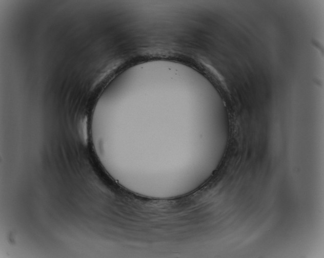 X0000098100020200804251415