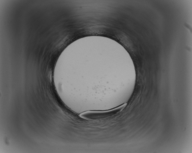 X0000098100021200804251415