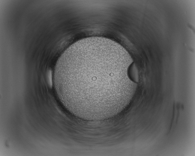 X0000098100022200804251415