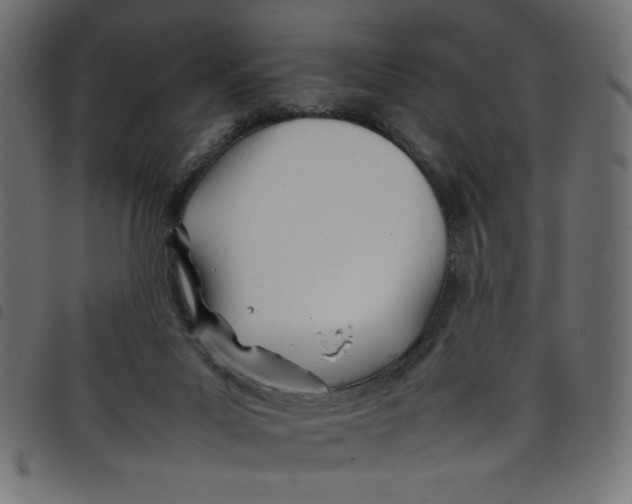 X0000098100023200804251415