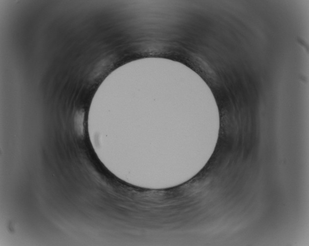 X0000098100024200804251415