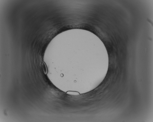 X0000098100025200804251415