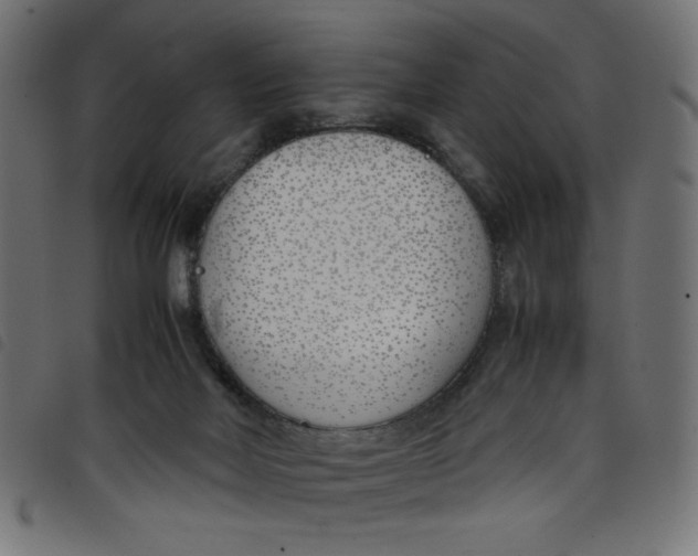 X0000098100026200804251415