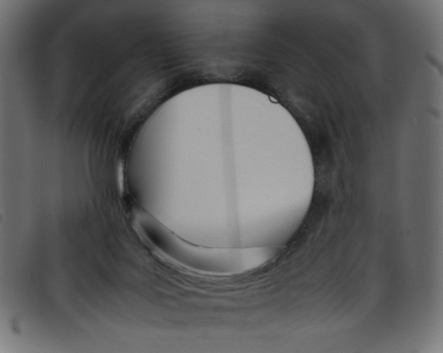 X0000098100027200804251415