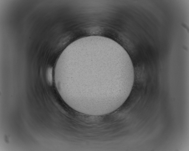 X0000098100028200804251415