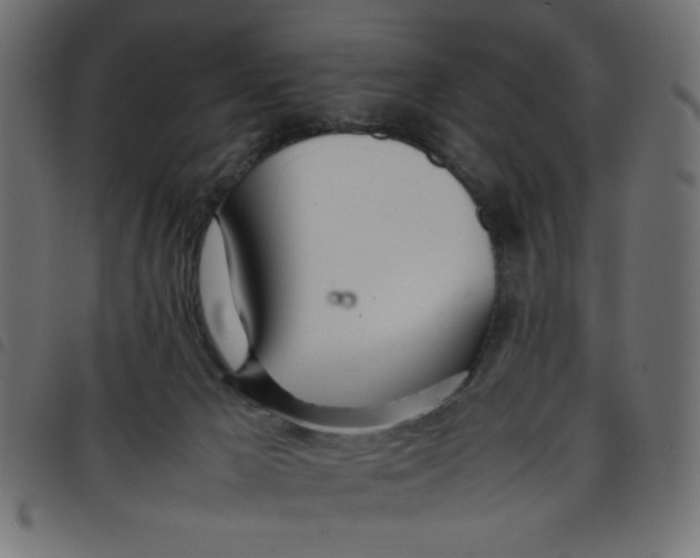 X0000098100029200804251415