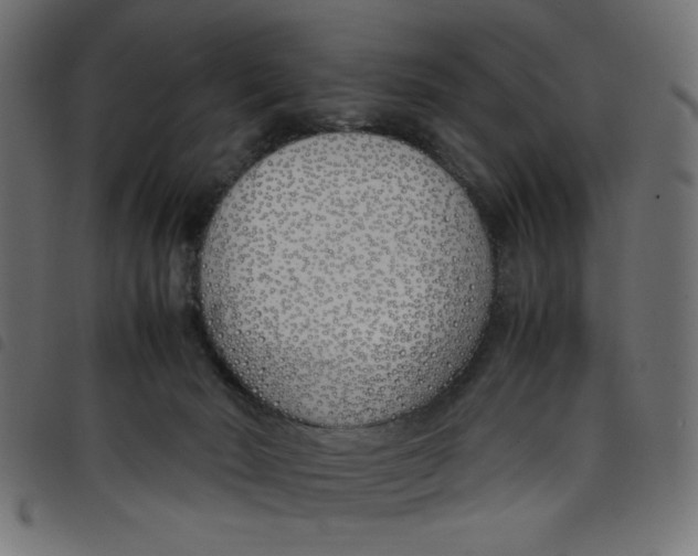 X0000098100030200804251415