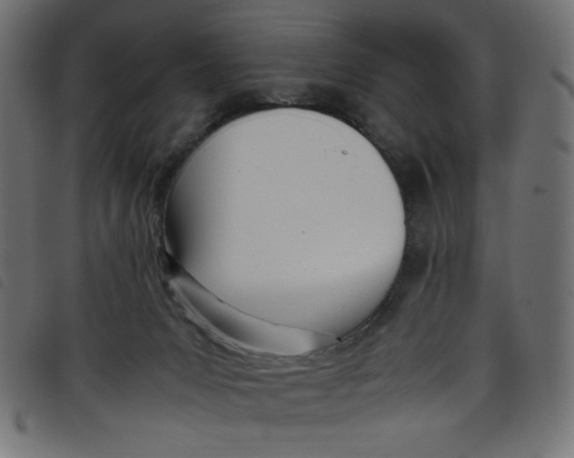X0000098100031200804251415