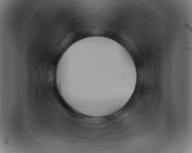 X0000098100032200804251415