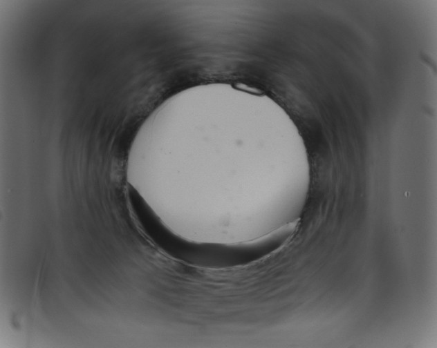 X0000098100033200804251415