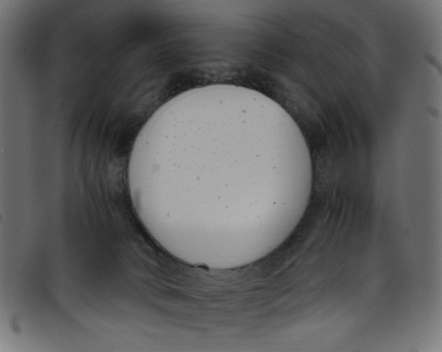 X0000098100034200804251415
