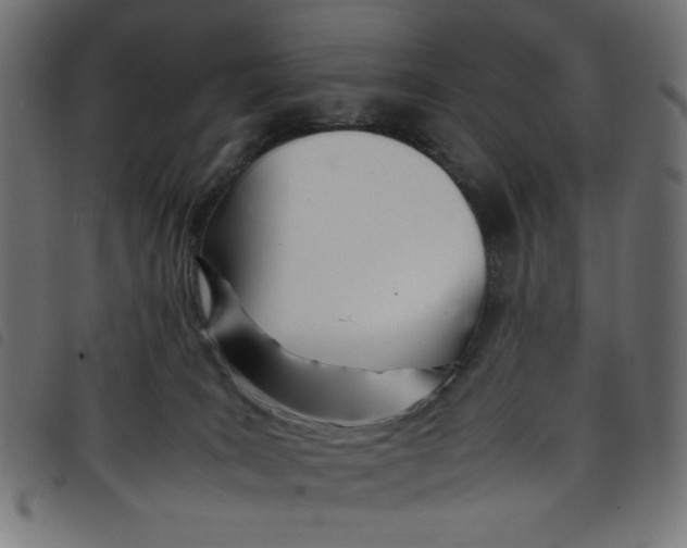 X0000098100035200804251415