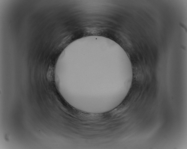 X0000098100036200804251415