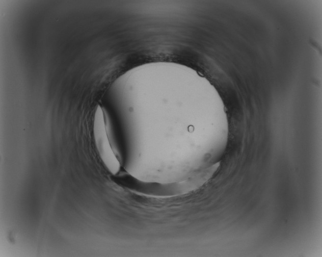 X0000098100037200804251415