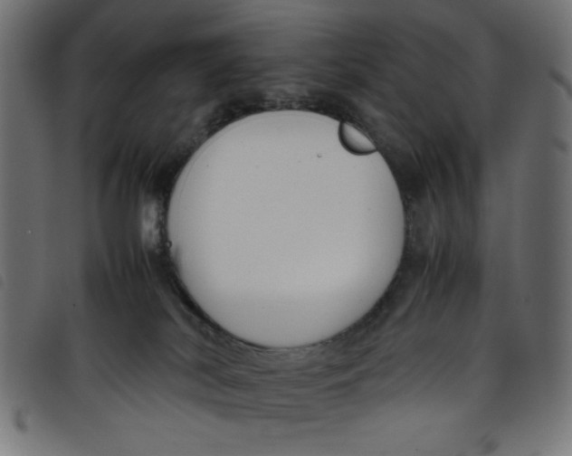 X0000098100038200804251415