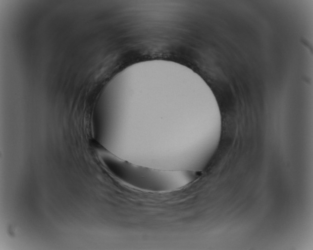 X0000098100039200804251415