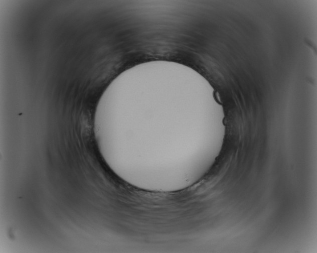 X0000098100040200804251415
