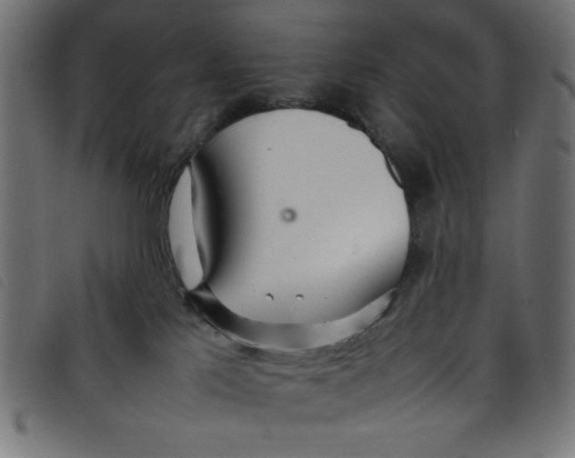 X0000098100041200804251415