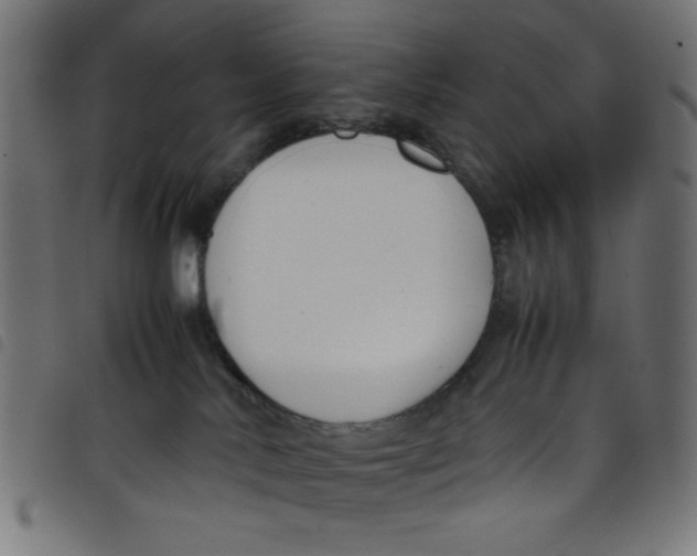 X0000098100042200804251415