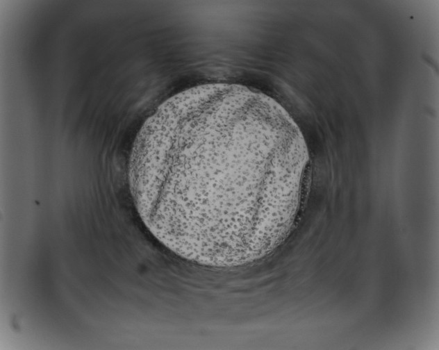X0000098100043200804251415