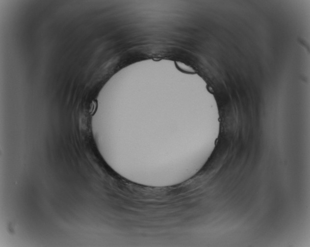X0000098100044200804251415