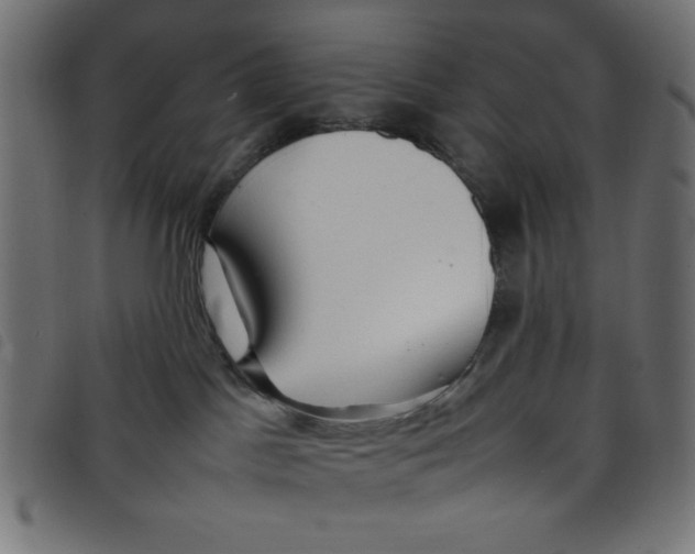 X0000098100045200804251415