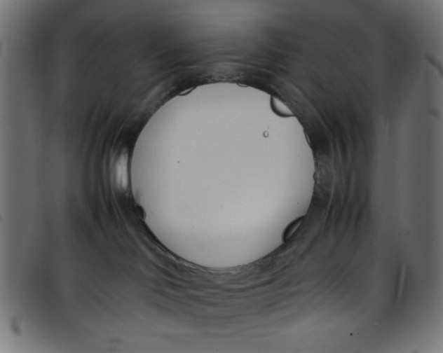 X0000098100046200804251415