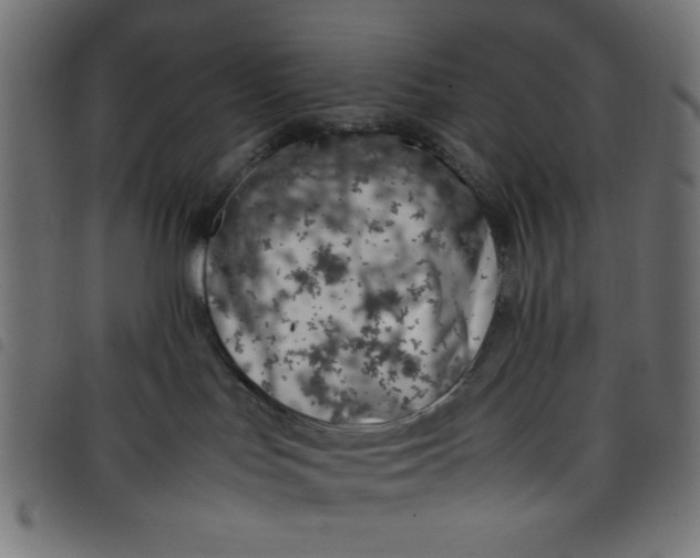 X0000098100047200804251415