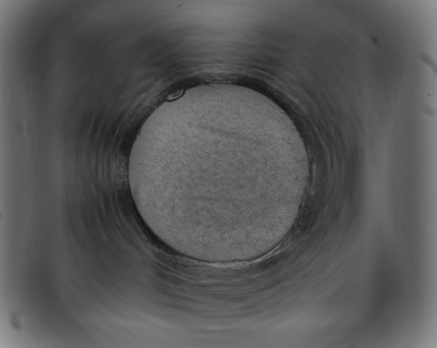 X0000098100048200804251415