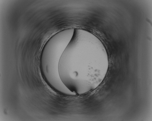 X0000098100049200804251414