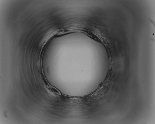 X0000098100050200804251414