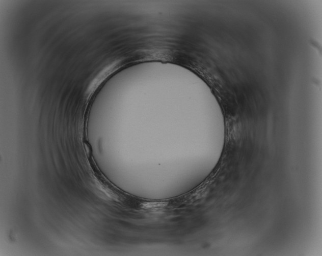 X0000098100051200804251414
