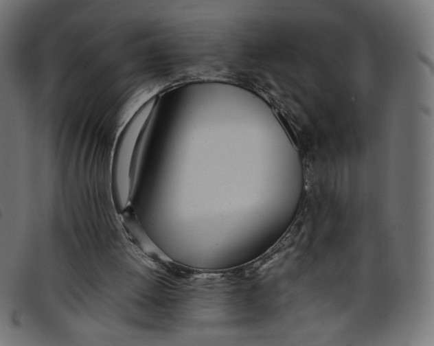 X0000098100052200804251414