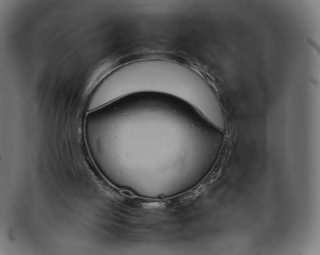 X0000098100053200804251414