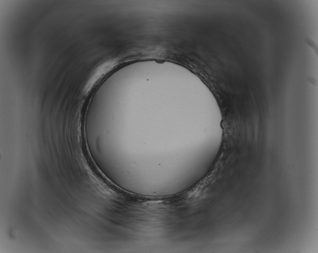 X0000098100054200804251414
