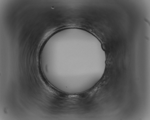 X0000098100055200804251414