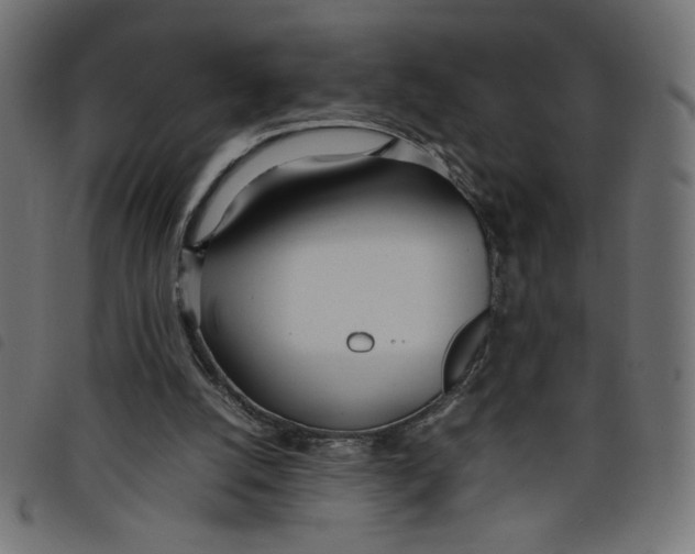 X0000098100056200804251414