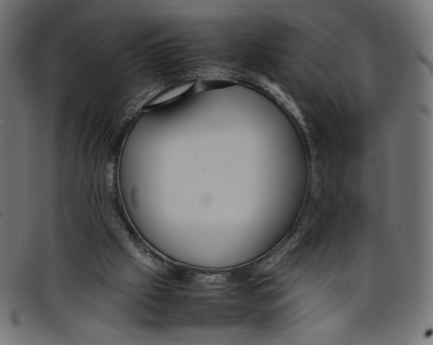 X0000098100057200804251414