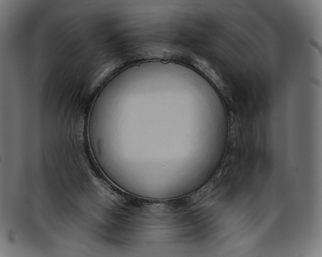 X0000098100058200804251414