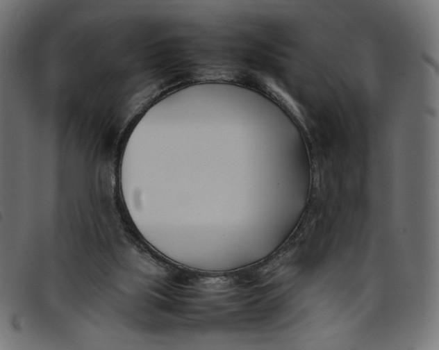 X0000098100059200804251414