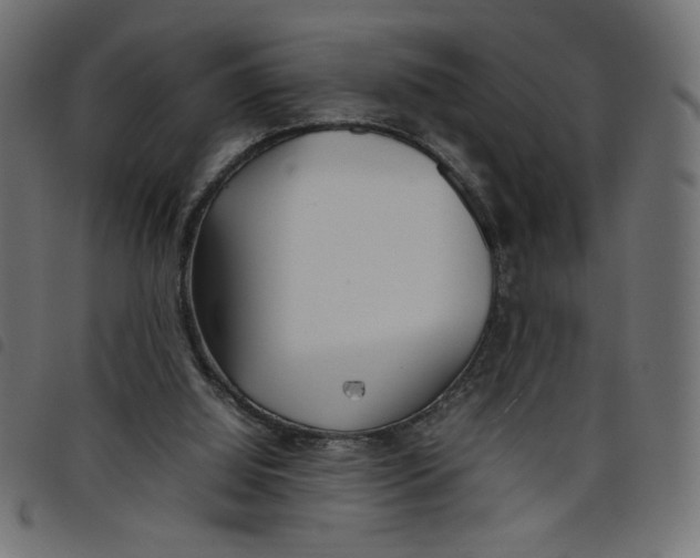 X0000098100060200804251414