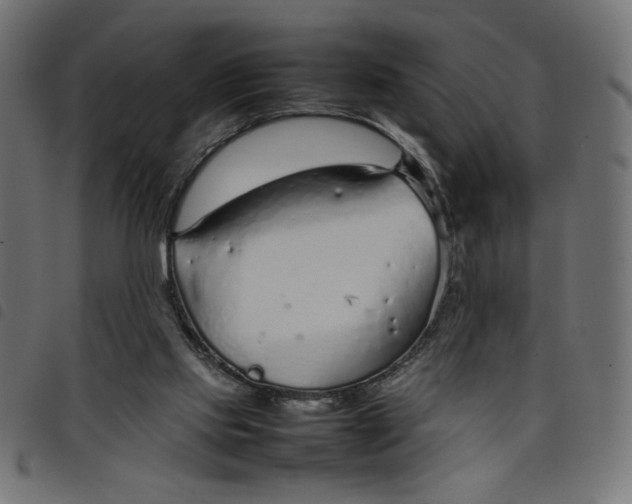 X0000098100061200804251414